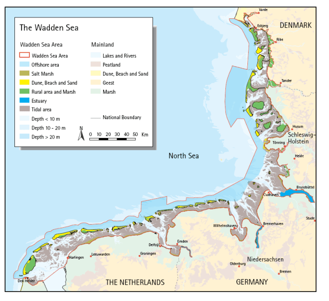 Wadden Sea